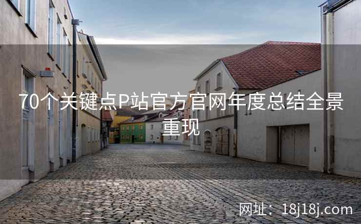 70个关键点P站官方官网年度总结全景重现