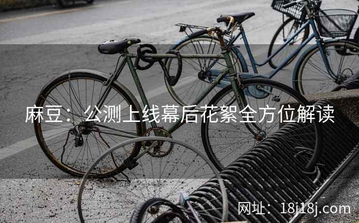 麻豆：公测上线幕后花絮全方位解读