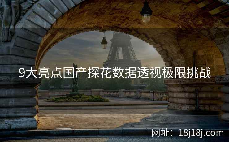 9大亮点国产探花数据透视极限挑战