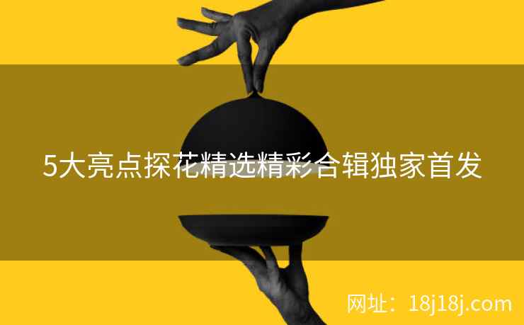 5大亮点探花精选精彩合辑独家首发