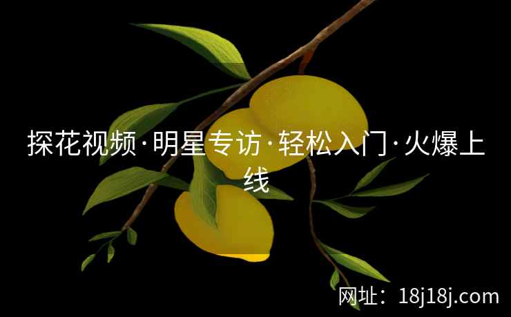 探花视频·明星专访·轻松入门·火爆上线