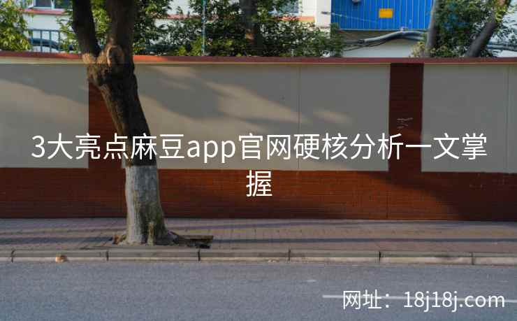 3大亮点麻豆app官网硬核分析一文掌握